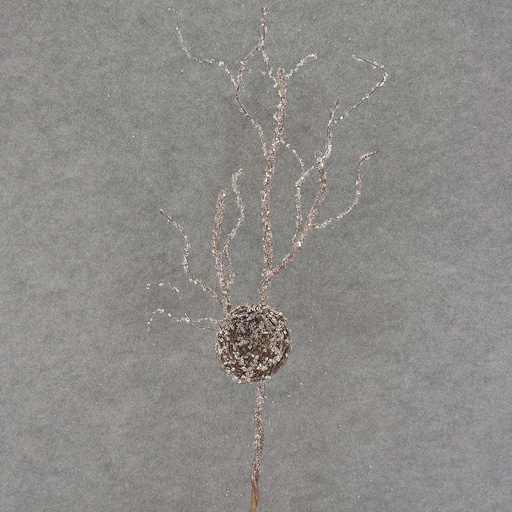 [XA7010] TWIG SPRAY W/NEST 33" SNOW/ICE