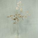[XB305-PTN] EUCALYPTUS SPRAY 31" W/GLITTER  PLATINUM