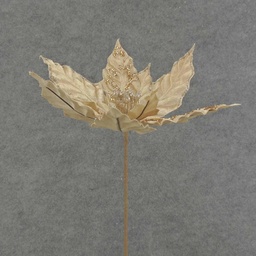 [XA6012-CHA] POINSETTIA PICK 12" 10"dia BLM  CHAMPAGNE