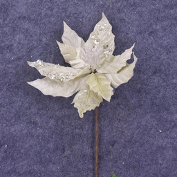[XA6012-CRM] POINSETTIA PICK 12" 10"dia BLM  CREAM