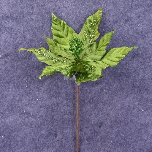[XA6012-EGN] POINSETTIA PICK 12" 10"dia BLM  EMERALD GREEN