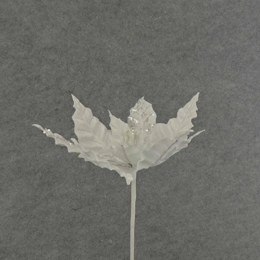 [XA6012-WHT] POINSETTIA PICK 12" 10"dia BLM  WHITE