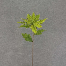 [XA7112-LGN] POINSETTIA PICK 24&quot; VELV/GLIT  LIGHT GREEN