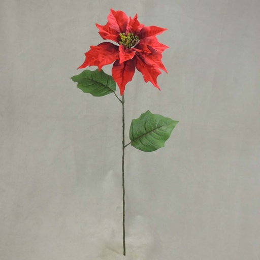 [XB315] POINSETTIA SINGLE STEM   RED