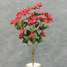 [XB4000-RED] POINSETTIA MINI BUSH X10  RED