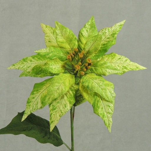 [XB50-GRN] POINSETTIA STEM W/2 LEAVES 25"