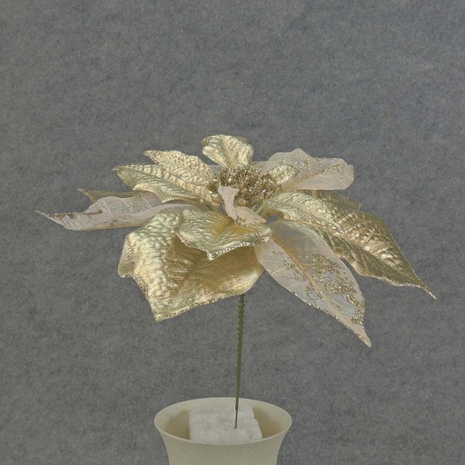 [XB5108] POINSETTIA PICK 8" 10" Dia  CHAMPAGNE