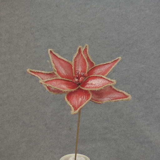 [XB5141] POINSETTIA SPRAY 19" 10" Dia RED/BURLAP