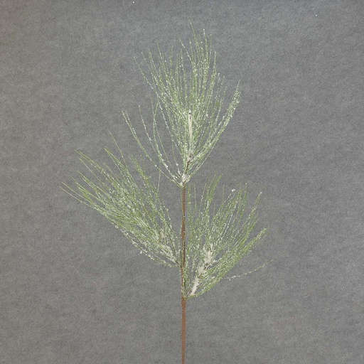 [XA5026] PINE SPRAY W/ SNOW X3 28" LONG NEEDLE