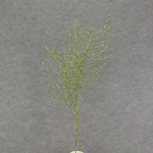 [XA7056-GRN] PINE SPRAY X2 32" W/GLITTER