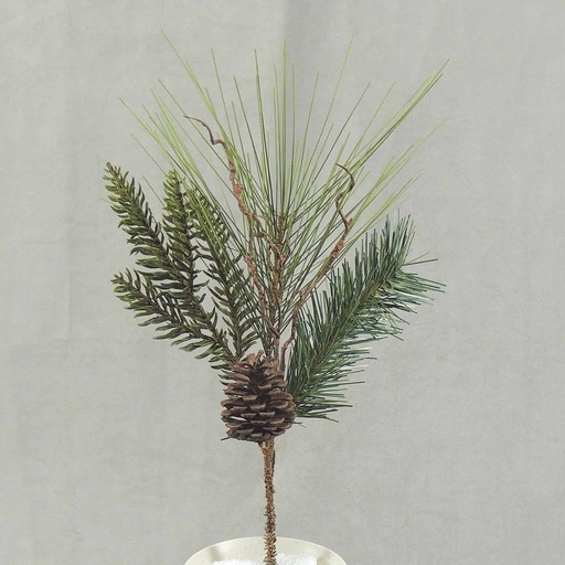 [XB4006] PINE MIXED PICK 15"
