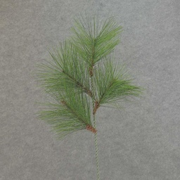 [XB5034] PINE SPRAY 18&quot; W/4 TIPS