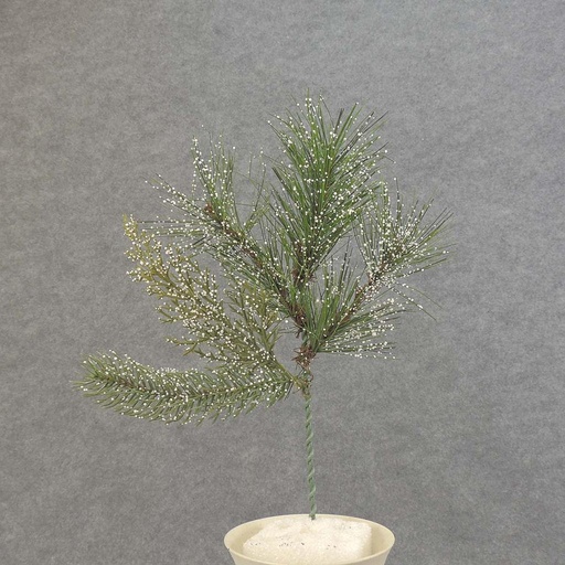 [XB5038] PINE PICK MIX 12" W/SNOW