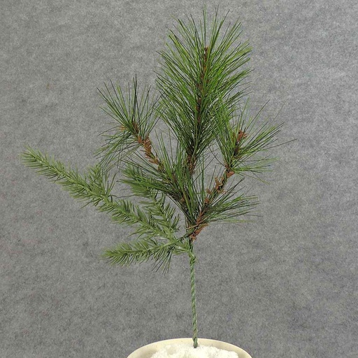 [XB5048-P12] PINE PICK 12" MIXED
