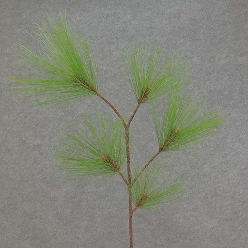 [XB5066] PINE SPRAY LONG NEEDLE 30"