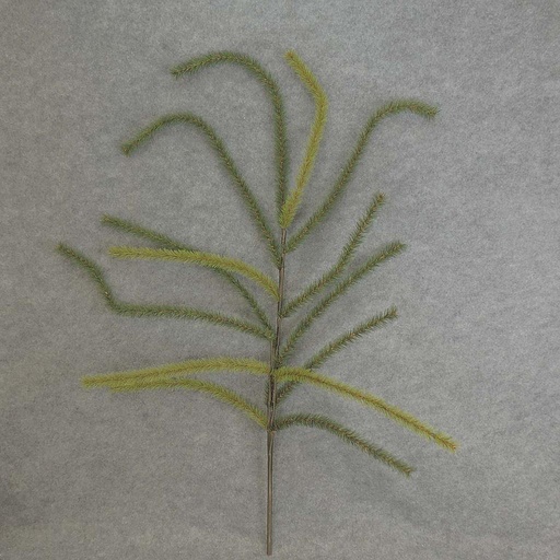 [XB5193] PINE BRANCH 45"