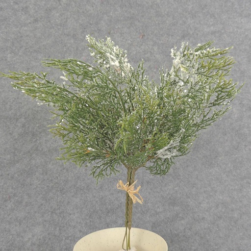 [XB6017] CYPRESS PICK BUNDLE 13" w/SNOW (3/BUNDLE)