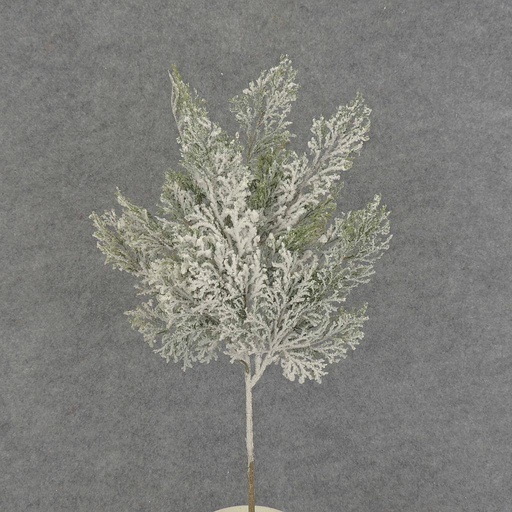 [XB6028] CYPRESS SPRAY W/SNOW 17"