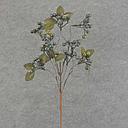 [XA6029-BGN] BERRY SPRAY X4 22" W/LEAVES  BURGUNDY/GREEN