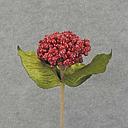 [XA6052-RED] BERRY CLUSTER PICK 12" GLITTER  RED
