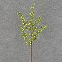 [XA7020-GRN] BERRY SPRAY 18.5" X5  GREEN