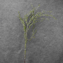 [XA8121-GRN] TWIG/BERRY SPRAY 45&quot; FLOCKED  GREEN