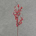 [XB6048] BERRY SPRAY X6 22" RED