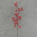 [XB6054] BERRY SPRAY LARGE 36" .5" RED
