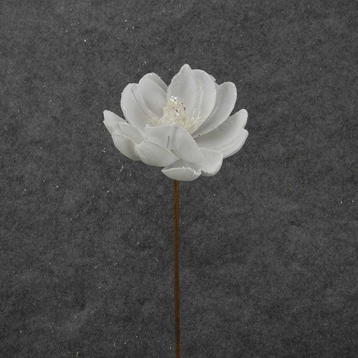 [XA8053] MAGNOLIA BLOOM STEM 24"T/5.5"d WHITE