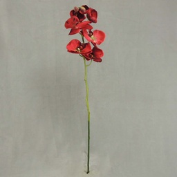 [XB3114-RED] PHALAENOPSIS X9 32&quot;    RED