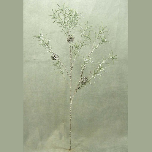 [XB3121] PODOCARPUS SPRAY 29" W/CONES