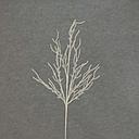 [XA5099] BRANCH SPRAY W/FUZZY SNOW 32" X5