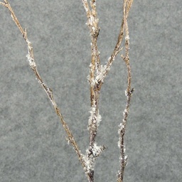 [XB4178-LBN] TWIG DRY SPRAY X6 38" W/SNOW