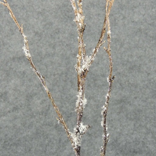 [XB4178-LBN] TWIG DRY SPRAY X6 38" W/SNOW