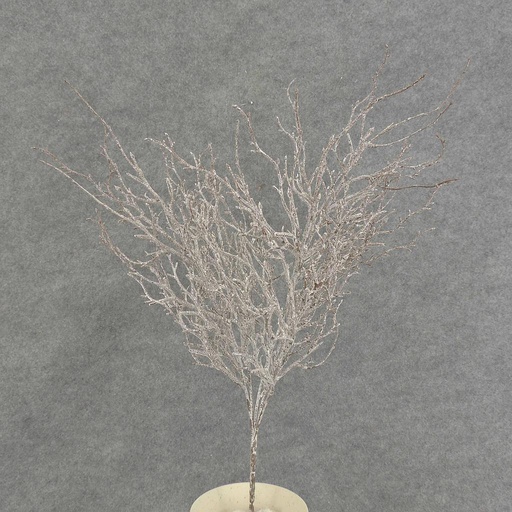 [XB6045] TWIG BUSH 20" X5 FROST/GLITTER