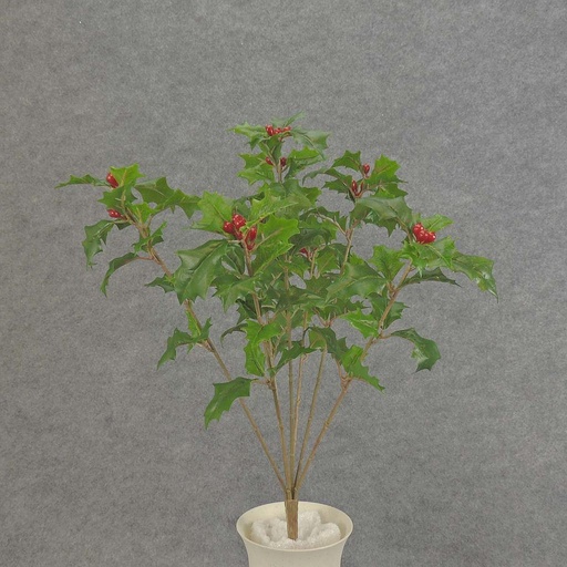 [XE5108-GRN] HOLLY BUSH X7 "WEATHERPROOF"