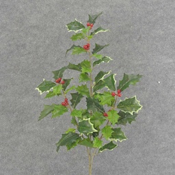 [XE6059-GVA] HOLLY SPRAY X3 21&quot; OD BERRIES VARIGATED  GREEN VARIGATED