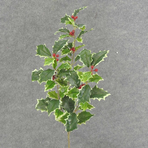 [XE6059-VAR] HOLLY SPRAY X3 21" OD BERRIES VARIGATED  VARIGATED