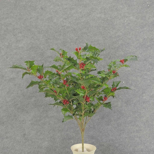 [XE6061-GRN] HOLLY BUSH 267 LVS OD BERRIES