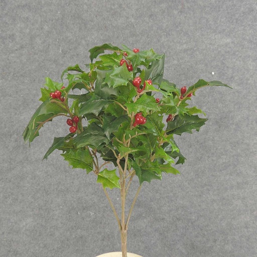 [XE6062-GRN] HOLLY BUSH 105 LVS OD BERRIES  GREEN