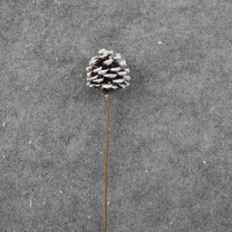 [XB8019] PINE CONE PICK 16" (6/BAG) FROSTED