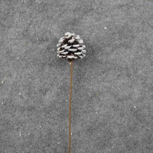 [XB8019] PINE CONE PICK 16" (6/BAG) FROSTED