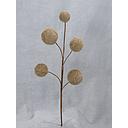 [XE328] BURLAP SPRAY X5 22" NATURAL