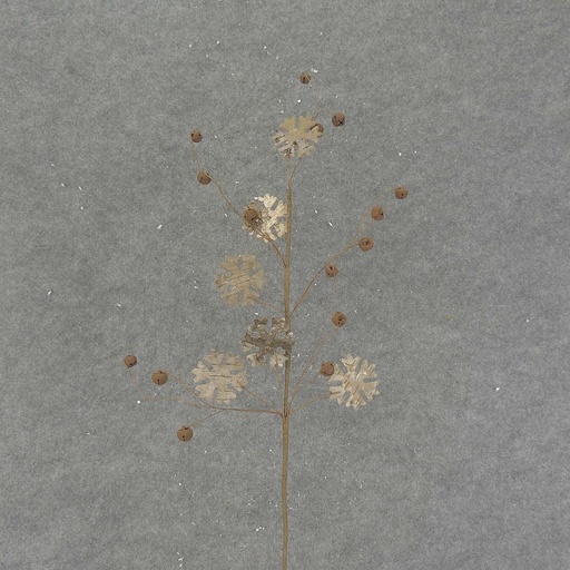[XL7067] SNOWFLAKE/BELL SPRAY 30"