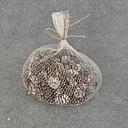 [XR6075-WHT] PINE CONES MINI IN A BAG  WHITE