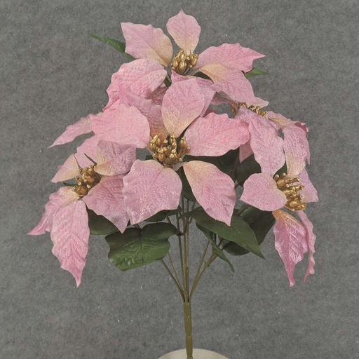 [XB7036-PNK] POINSETTIA BUSH X7 17" PINK