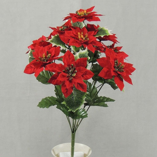 [XE4013-RED] POINSETTIA SMALL BUSH X10
