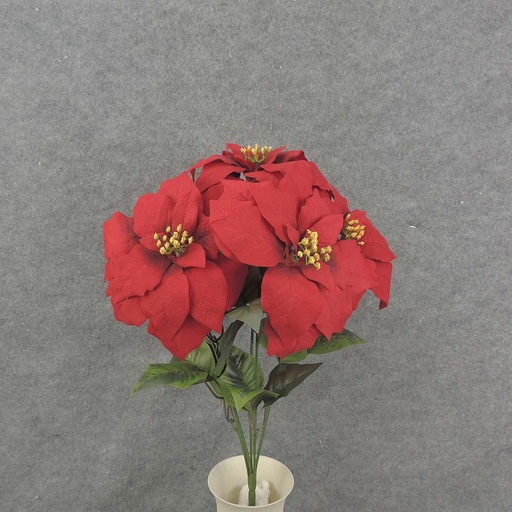 [XE5005-RED] POINSETTIA BUSH X5   20"  RED