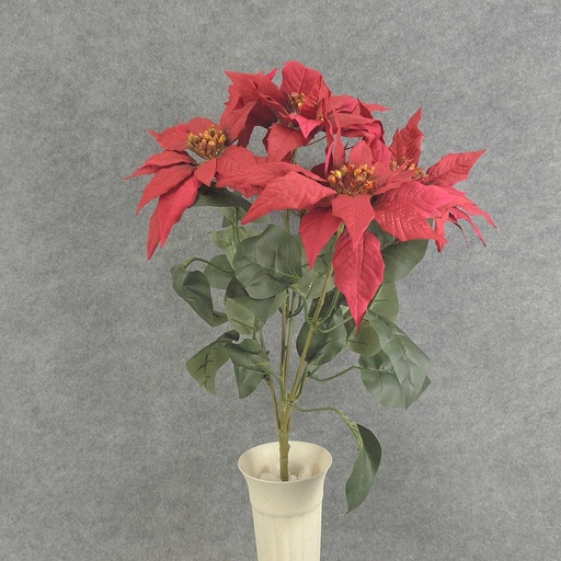 [XE5085-RED] POINSETTIA BUSH X5 22" M/P