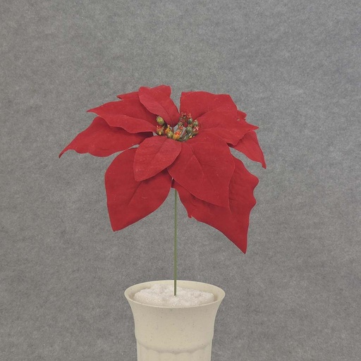 [XE5088-RED] POINSETTIA PICK 8" M/P